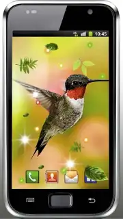 Colibri Spring 3D LWP Screenshot 2