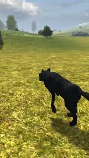 Wild Life: Wolf Clan Screenshot 2