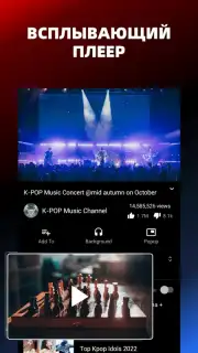 Pure Tuber Screenshot 3