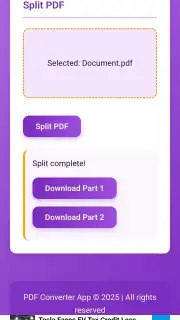 PDF Converter Screenshot 1