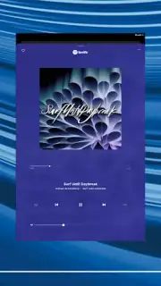 Bose Music Screenshot 14