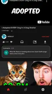 Lite You Vanced - Block Video Ads Screenshot 2
