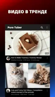 Pure Tuber Screenshot 2