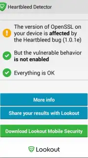 Heartbleed Security Scanner Screenshot 2