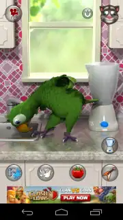Talking Pierre Screenshot 8