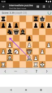 Chess Tactics Pro Screenshot 5