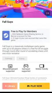 netboom Screenshot 6