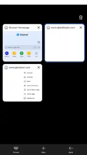 Internet Browser Screenshot 8