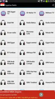 Egyptian Radio Screenshot 6