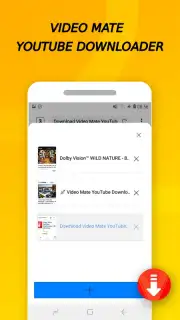 Vidora YouTube Downloader | free & fast Screenshot 11