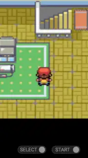 Pokemon Collection Screenshot 6
