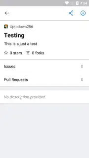 GitHub Screenshot 3