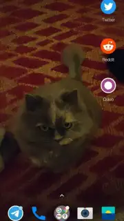 Transparent Screen & Live Wallpaper Screenshot 4