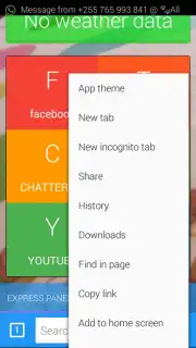 cheetah browser Screenshot 2