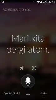 Microsoft Translator Screenshot 1