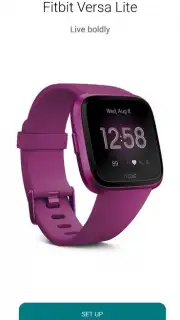 Fitbit Screenshot 3