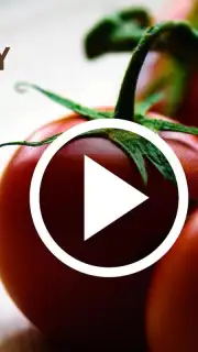HD Video Downloader Free Screenshot 3