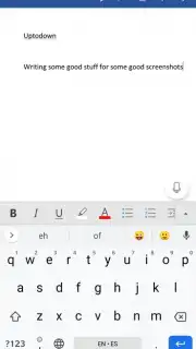 Microsoft Word Screenshot 13