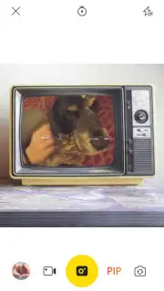 V Camera Screenshot 3