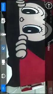 NVSIP Screenshot 3