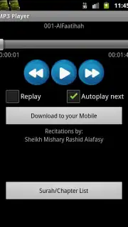 Quran MP3 With Indonesian Screenshot 2