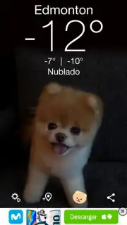 Boo Weather Screenshot 2