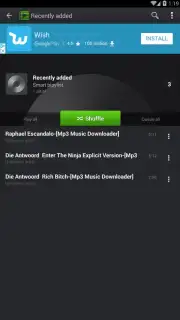 PlayerPro Screenshot 1