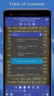 TTS Reader Screenshot 2