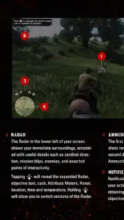 RDR2: Companion Screenshot 5