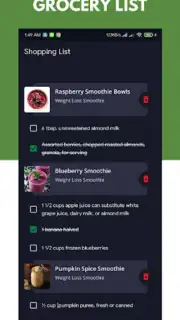 Diet Smoothie Recipes Screenshot 2
