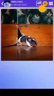 100 PICS Puzzles Screenshot 3