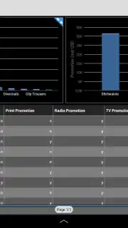 SAP BI Screenshot 3