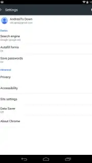 Chrome Dev Screenshot 1