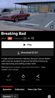 Netflix Screenshot 15