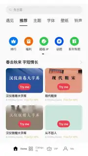 Theme Store (CN) Screenshot 6