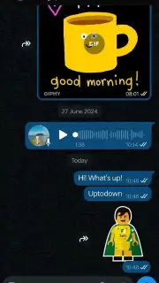 WhatsApp Business Screenshot 10