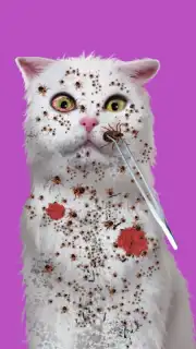 Cat ASMR: Salon Makeover Screenshot 5
