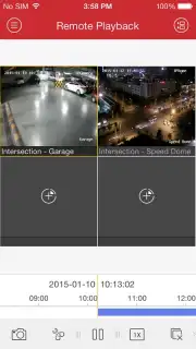 iVMS-4500 Screenshot 5