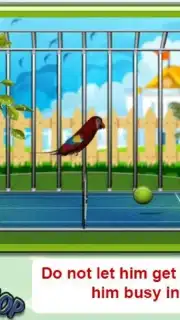 Parrot Pet Shop Screenshot 2