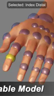 Hand Mannequin Screenshot 7