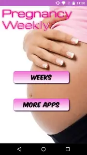 Pregnancy Weekly Screenshot 1