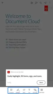 Adobe Acrobat Reader Screenshot 1