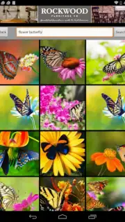 Butterfly Flower for DoodleTex Screenshot 3