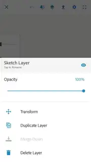 Adobe Photoshop Sketch Screenshot 7