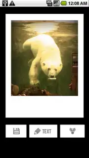 Polaroid PoGo App Screenshot 2