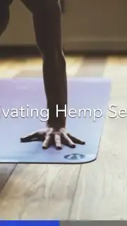 Yoga | Down Dog Screenshot 2