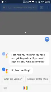 Google Assistant Screenshot 9