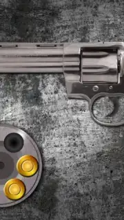 Best Russian Roulette Screenshot 2
