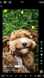 YouTube (Android Auto) Screenshot 2