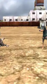 HomelessCat Screenshot 5